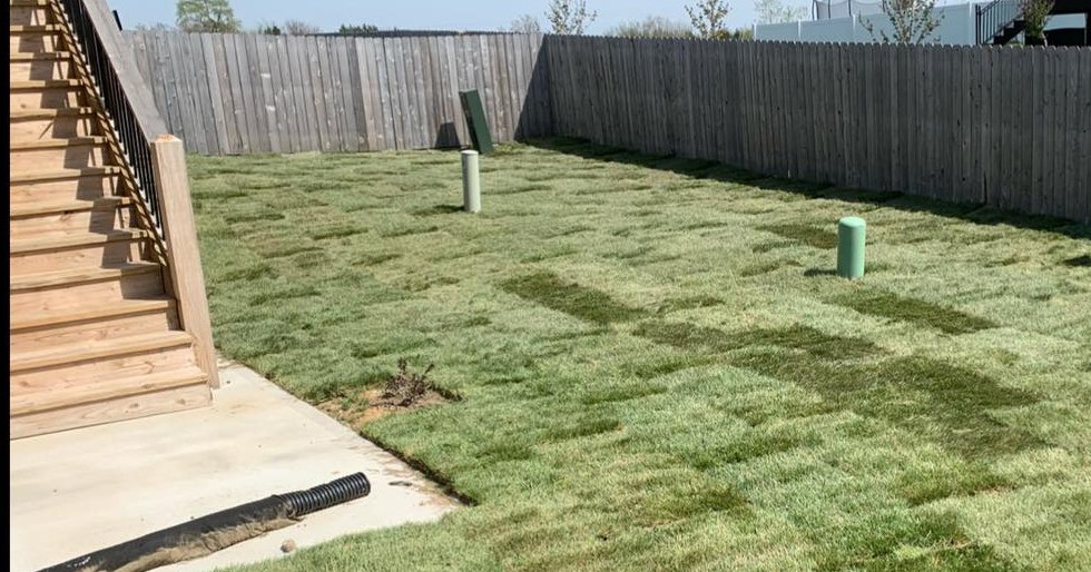 Fresh sod across a fenced back yard.